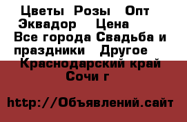 Цветы. Розы.  Опт.  Эквадор. › Цена ­ 50 - Все города Свадьба и праздники » Другое   . Краснодарский край,Сочи г.